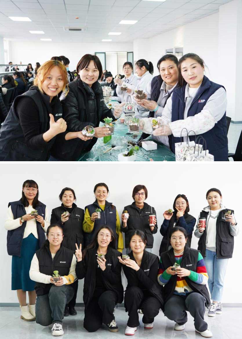 3.8 婦女節(jié)丨微景觀DIY，一起邂逅微世界里的春日—AIP艾普